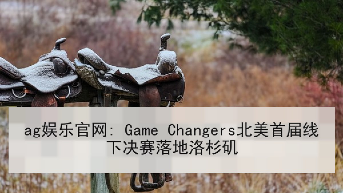 ag娱乐官网: Game Changers北美首届线下决赛落地洛杉矶