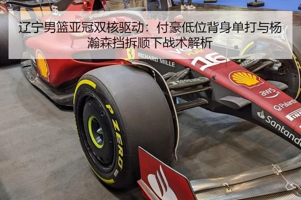 辽宁男篮亚冠双核驱动：付豪低位背身单打与杨瀚森挡拆顺下战术解析