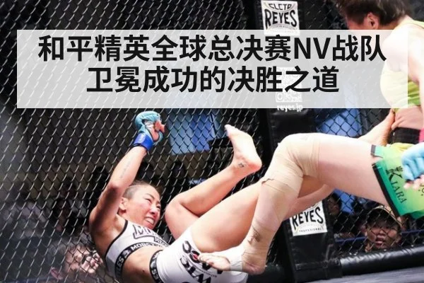 和平精英全球总决赛NV战队卫冕成功的决胜之道
