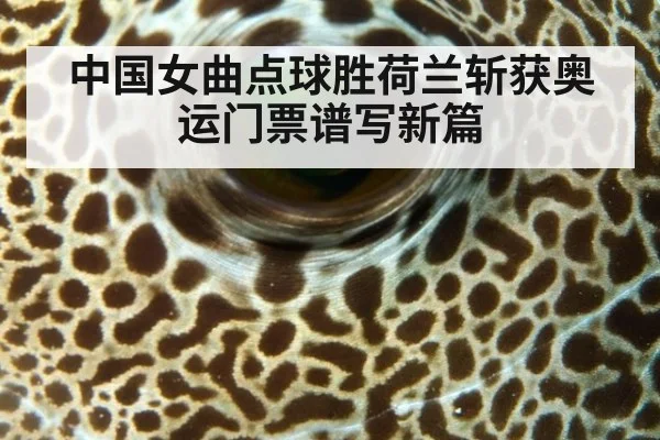 中国女曲点球胜荷兰斩获奥运门票谱写新篇